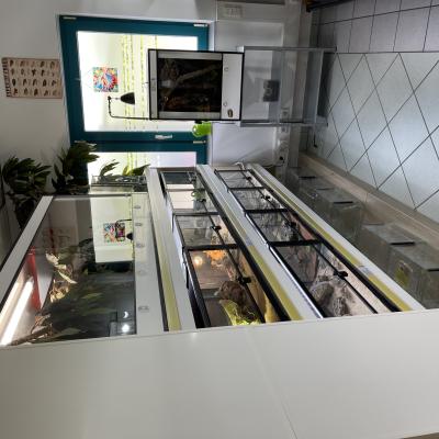 Img 0649